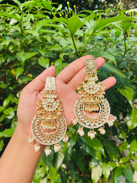 Anushi earings